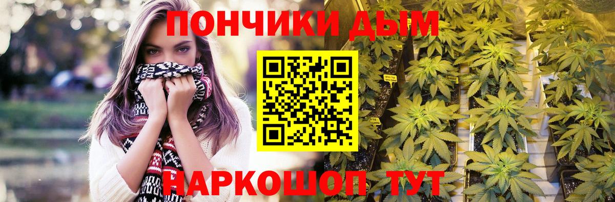 Шишки марихуана White Widow  Вход с VPN  Бошки марихуана планчик  Алексин  МАРИХУАНА ГИДРОПОН 